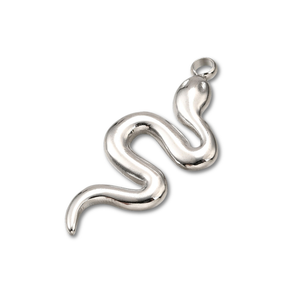 Silver Stainless Steel Snake Charm