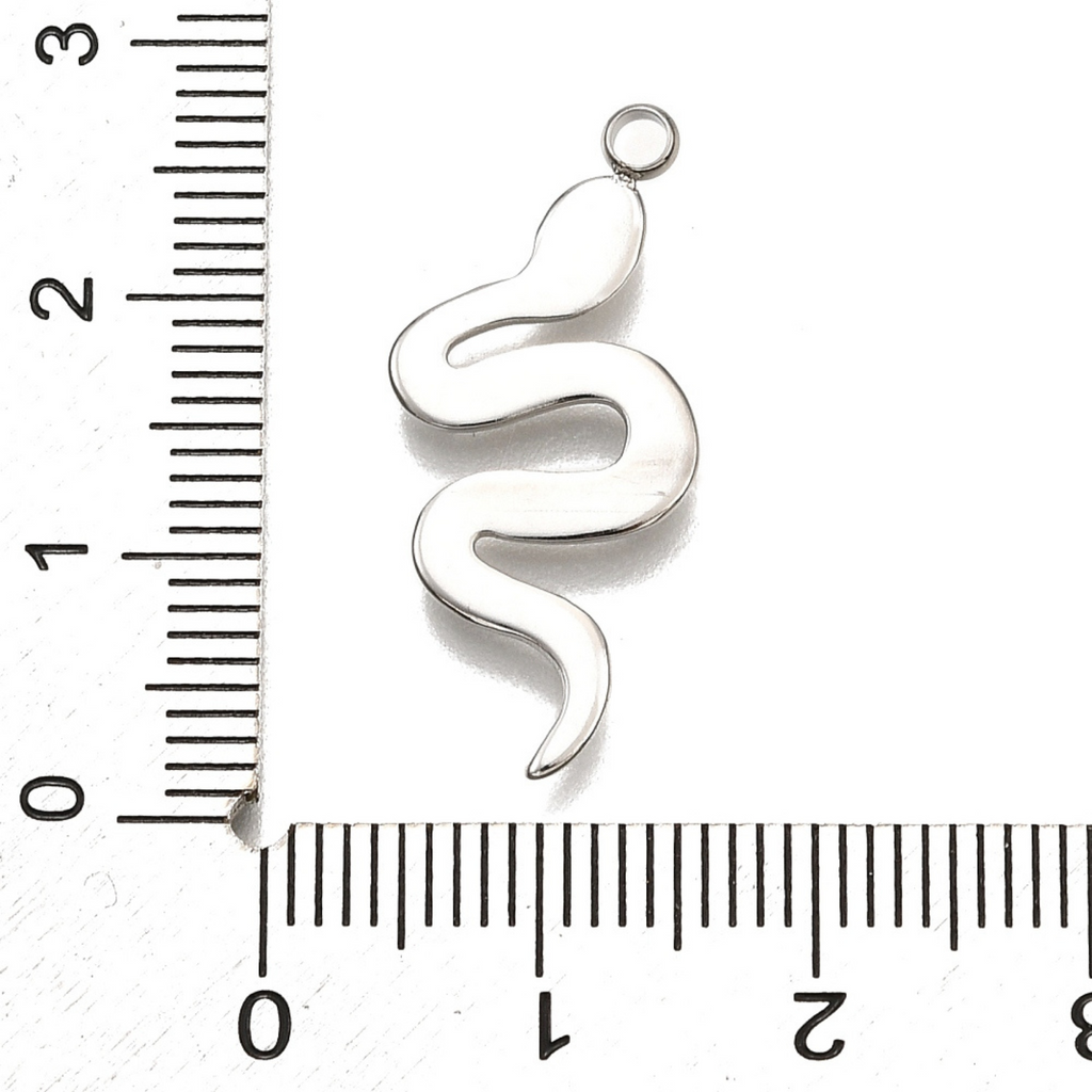 Silver Stainless Steel Snake Charm