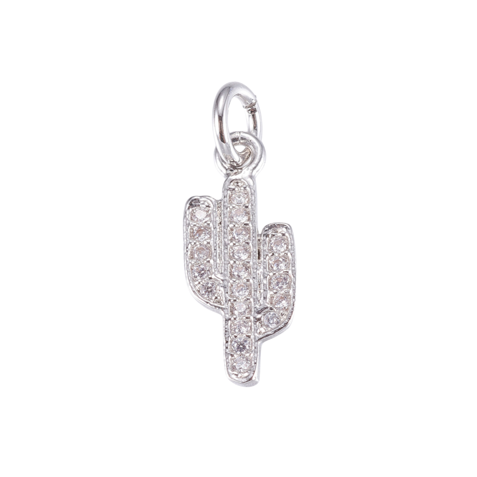 Silver Brass Cactus Charm