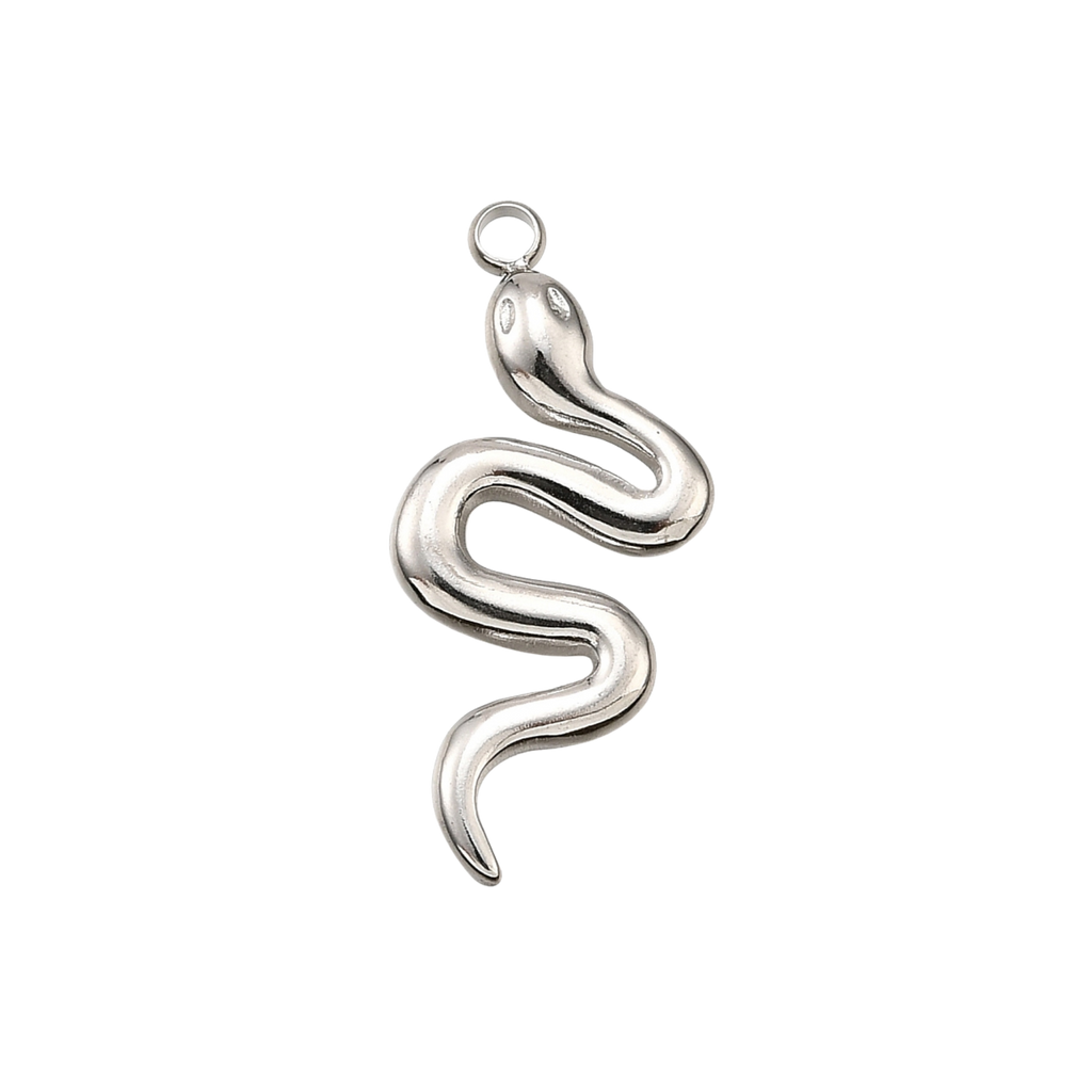 Silver Stainless Steel Snake Charm